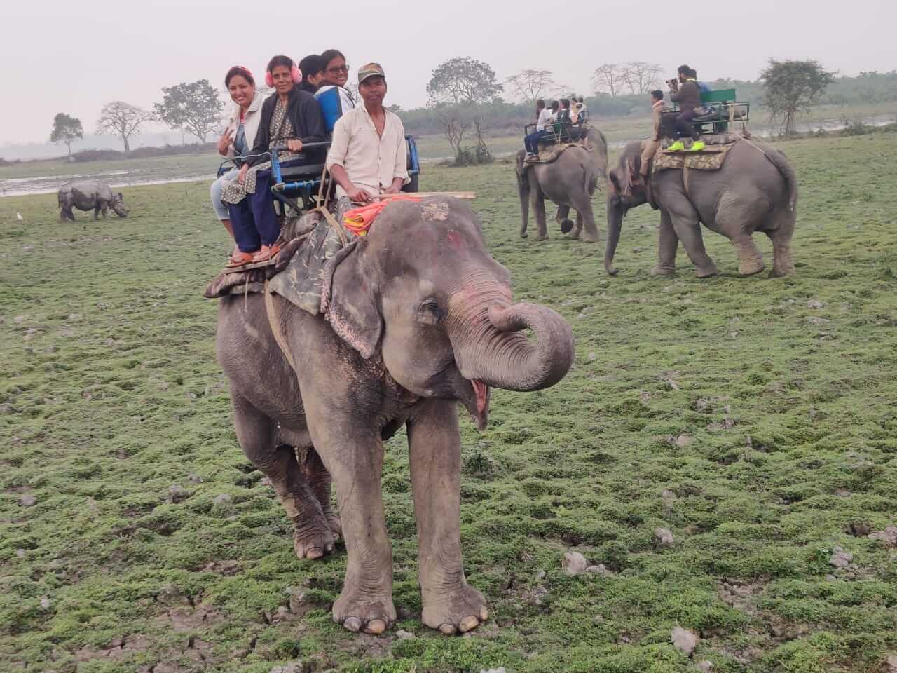 about elephant safari in india