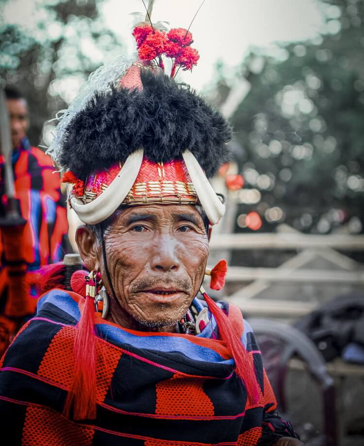 4-days-hornbill-festival-tour-package-2023-northeast-guide